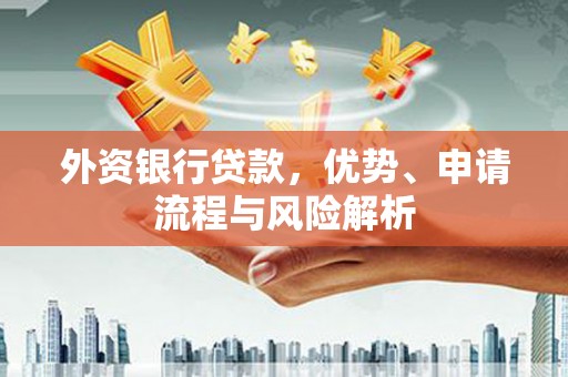 斗南外资银行贷款，优势、申请流程与风险解析