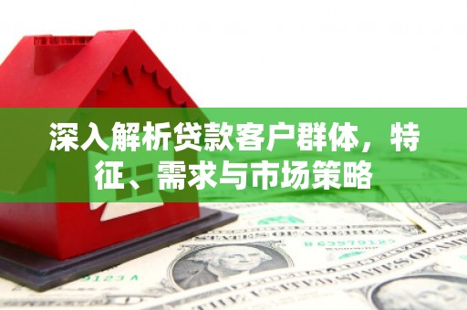 斗南深入解析贷款客户群体，特征、需求与市场策略