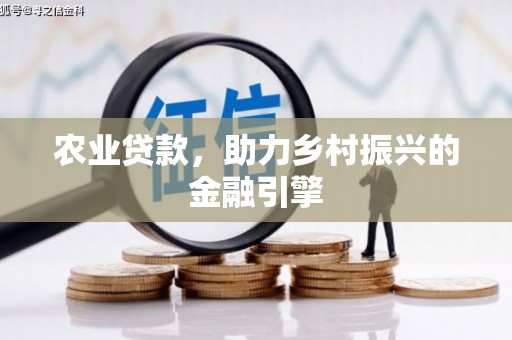 斗南农业贷款，助力乡村振兴的金融引擎