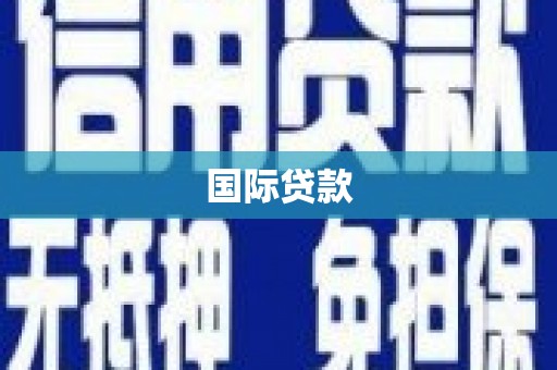 斗南国际贷款