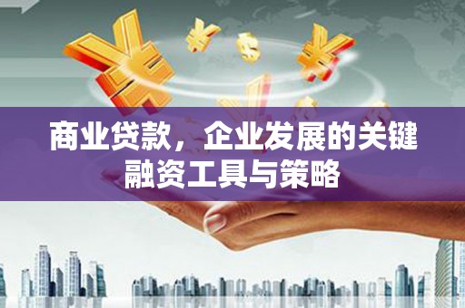 斗南商业贷款，企业发展的关键融资工具与策略