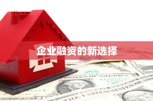 斗南企业融资的新选择