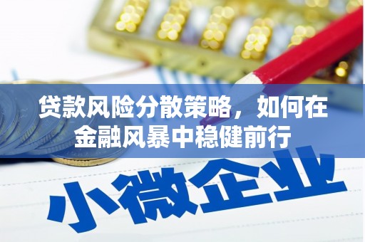 斗南贷款风险分散策略，如何在金融风暴中稳健前行
