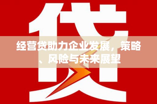 斗南经营贷助力企业发展，策略、风险与未来展望