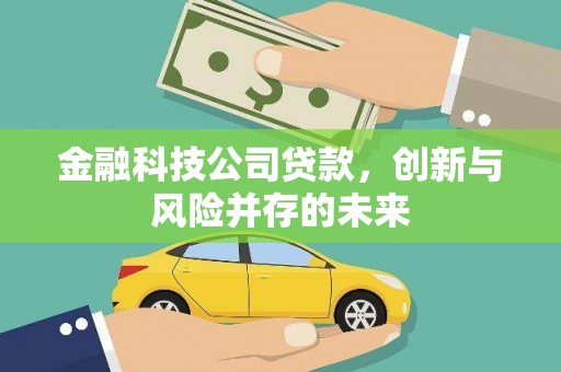 斗南金融科技公司贷款，创新与风险并存的未来
