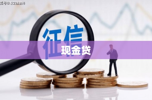 斗南现金贷