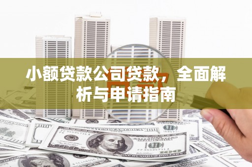 斗南小额贷款公司贷款，全面解析与申请指南