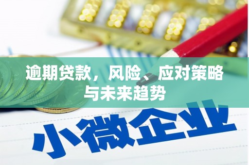 斗南逾期贷款，风险、应对策略与未来趋势
