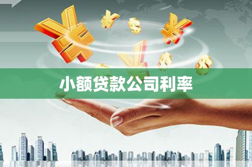 斗南小额贷款公司利率