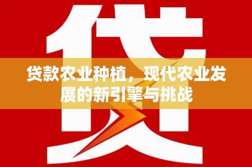 斗南贷款农业种植，现代农业发展的新引擎与挑战