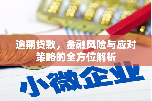 斗南逾期贷款，金融风险与应对策略的全方位解析