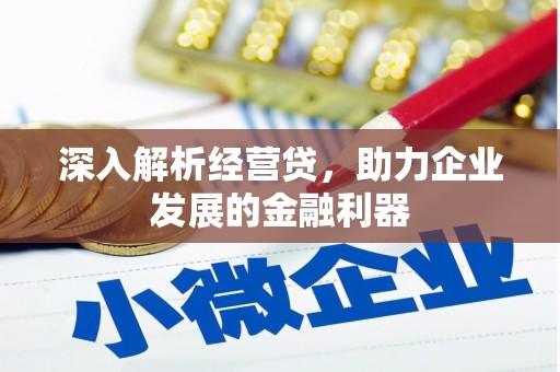 斗南深入解析经营贷，助力企业发展的金融利器