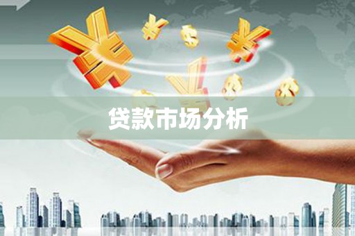 斗南贷款市场分析