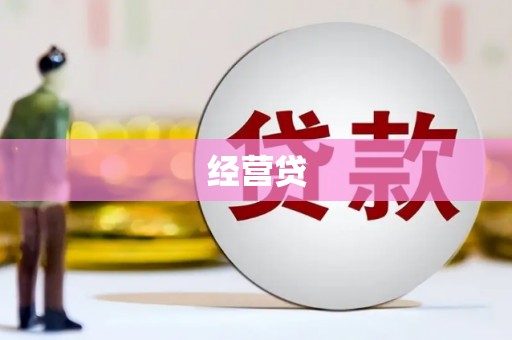 斗南经营贷