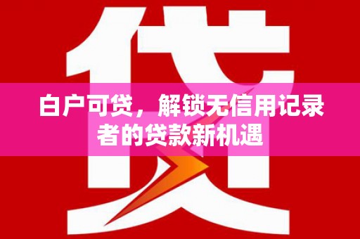 斗南白户可贷，解锁无信用记录者的贷款新机遇