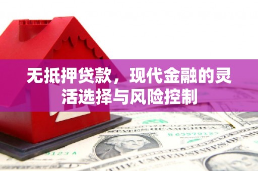 斗南无抵押贷款，现代金融的灵活选择与风险控制