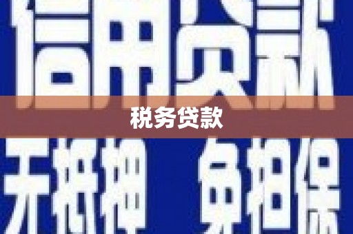 斗南税务贷款