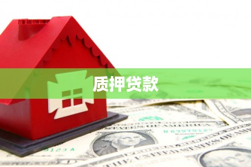 斗南质押贷款