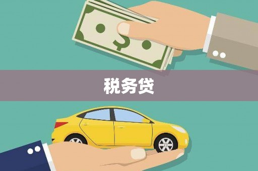 斗南税务贷