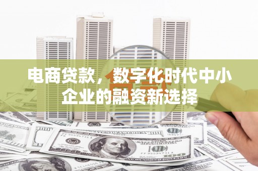 斗南电商贷款，数字化时代中小企业的融资新选择