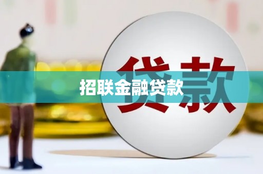 斗南招联金融贷款
