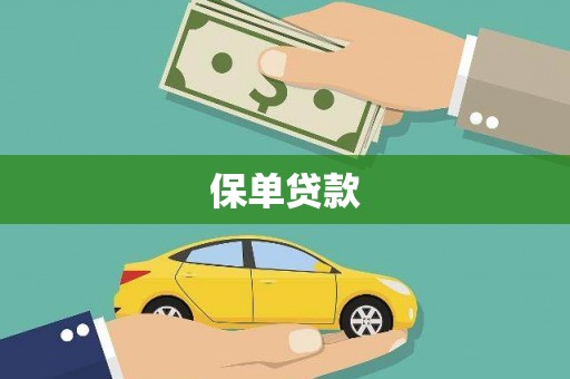 斗南保单贷款
