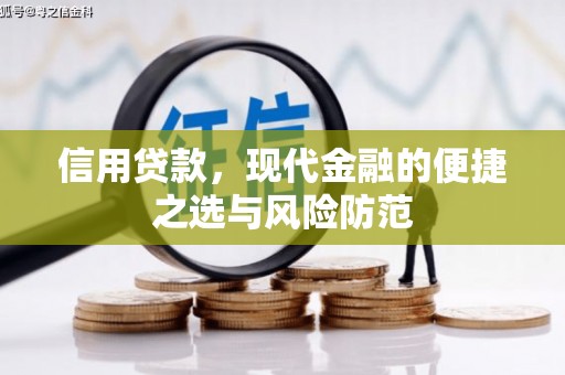 斗南信用贷款，现代金融的便捷之选与风险防范