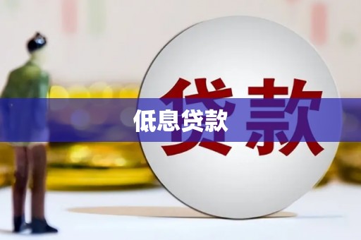 斗南低息贷款