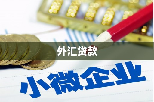 斗南外汇贷款