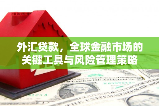 斗南外汇贷款，全球金融市场的关键工具与风险管理策略