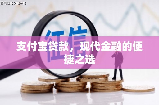 斗南支付宝贷款，现代金融的便捷之选
