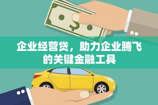 斗南企业经营贷，助力企业腾飞的关键金融工具