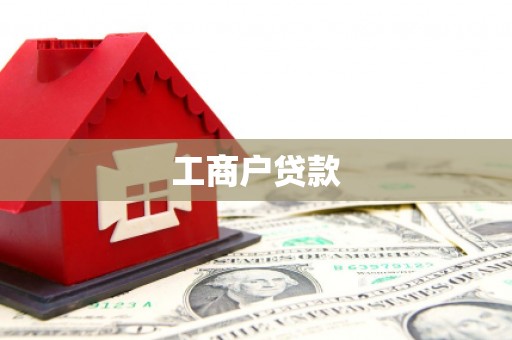 斗南工商户贷款