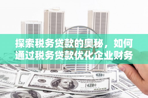 斗南探索税务贷款的奥秘，如何通过税务贷款优化企业财务