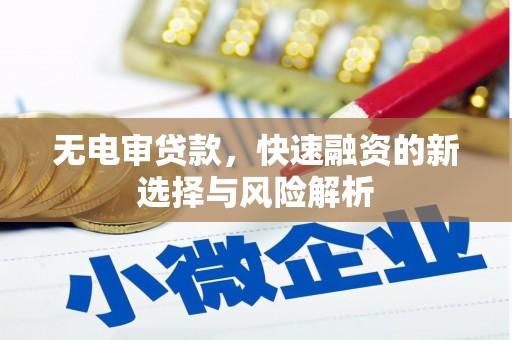 斗南无电审贷款，快速融资的新选择与风险解析