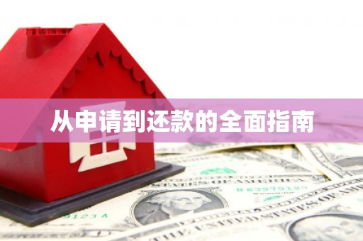斗南从申请到还款的全面指南