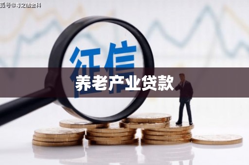 斗南养老产业贷款