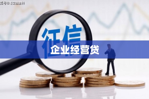 斗南企业经营贷
