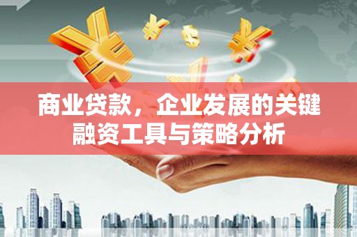 斗南商业贷款，企业发展的关键融资工具与策略分析