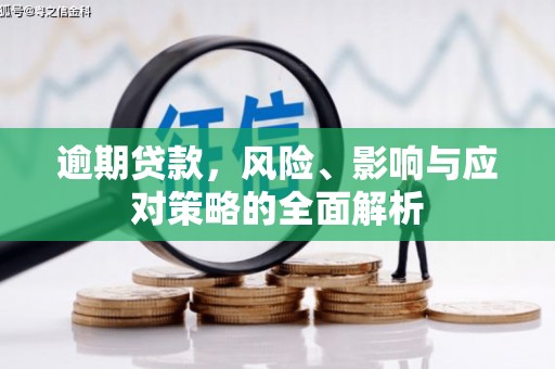 斗南逾期贷款，风险、影响与应对策略的全面解析