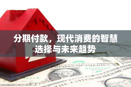 斗南分期付款，现代消费的智慧选择与未来趋势