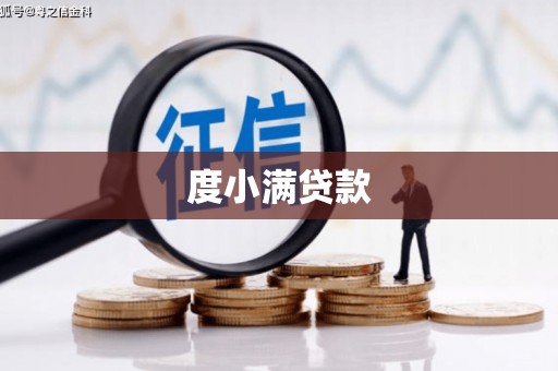 斗南度小满贷款