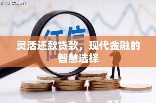 斗南灵活还款贷款，现代金融的智慧选择