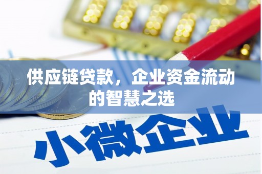 斗南供应链贷款，企业资金流动的智慧之选