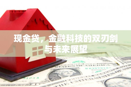 斗南现金贷，金融科技的双刃剑与未来展望