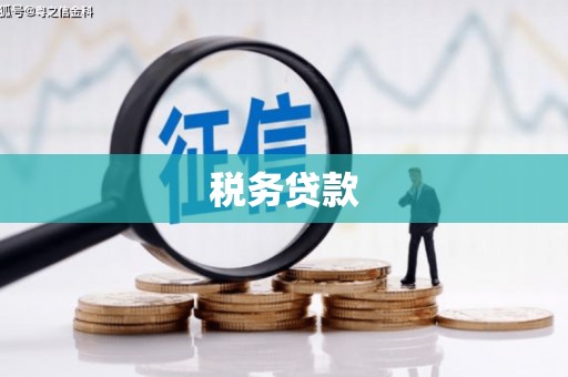 斗南税务贷款