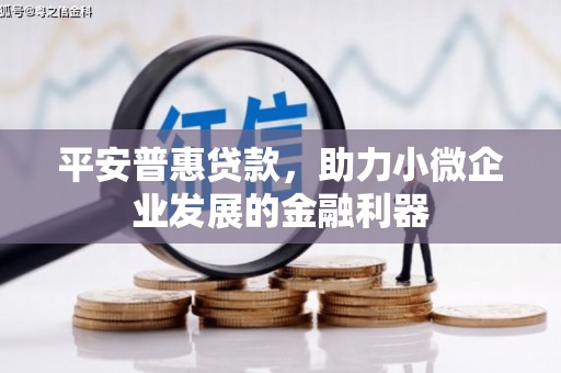 斗南平安普惠贷款，助力小微企业发展的金融利器