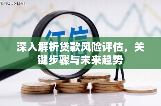 斗南深入解析贷款风险评估，关键步骤与未来趋势