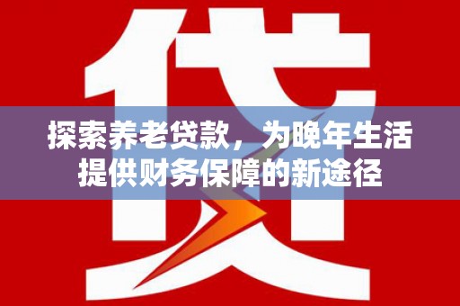 斗南探索养老贷款，为晚年生活提供财务保障的新途径