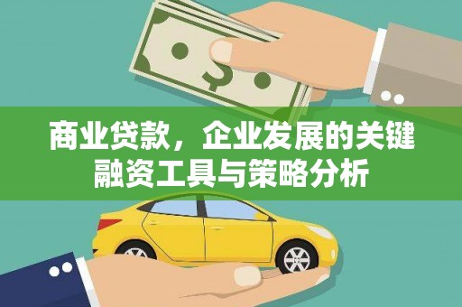 斗南商业贷款，企业发展的关键融资工具与策略分析